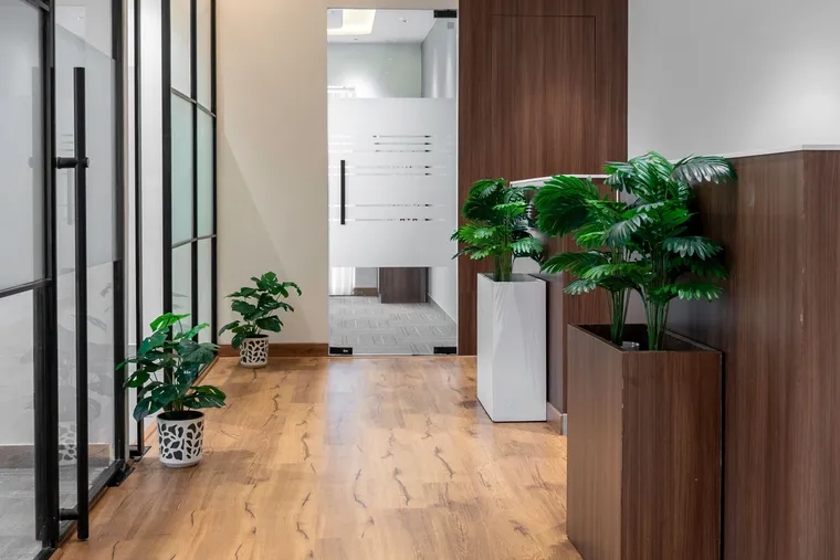Wood-look plank flooring in an office hallway